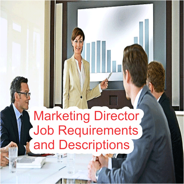 Marketing director salary terms and conditions