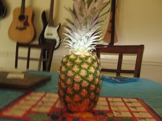 Pineapple, spinning on an axis