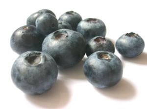 It's Blueberry Season!