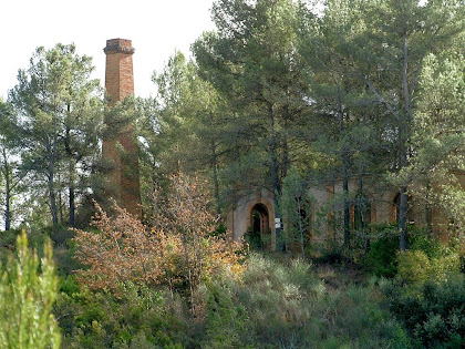 Vista de les instal·lacions i de la xemeneia de la mina de plom "La Martorellense", actualment cobertes per la vegetació