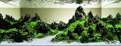 Desain Aquascape