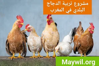Maywil