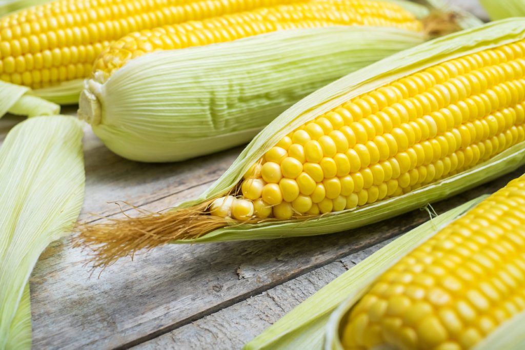 The Types Of Corn Grown In The U S And