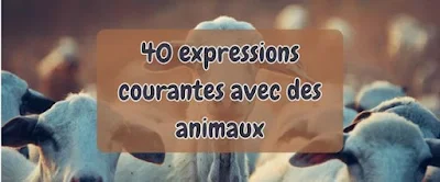 40 expressions courantes avec des animaux