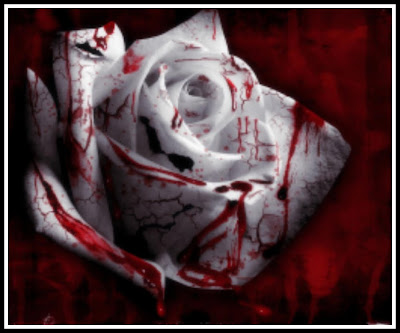 Bloody White Rose