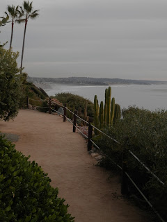 View South Towards Del Mar, Photo by Kaliani Devinne, Copyright 2013