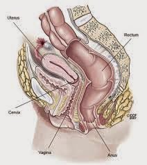 http://www.nuif.org/hunyuan-infertility-treatments/