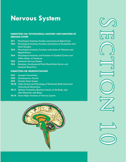Important topics in physiology for mbbs exams :Central nervous system