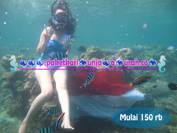 Brosur paket snorkeling karimunjawa