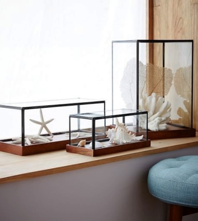 Glass Display Boxes Coastal Vignette