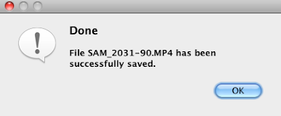 Done. File *.MP4 has been successfully saved.