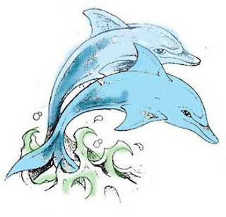 Dolphin Tattoo Designs