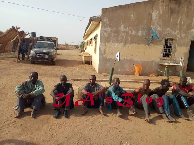 Troops kill 10 herdsmen after attack on Adamawa village, arrest 6 [PHOTOS] 