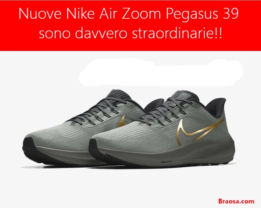 Nike Air Zoom Pegasus 39 le ho provate e sono davvero straordinarie