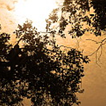 View album