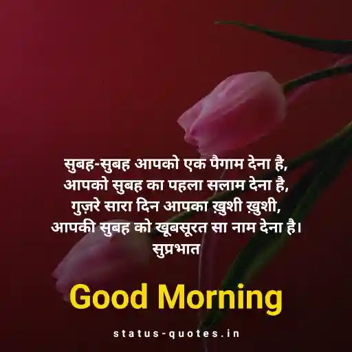 Good Morning Status in Hindi - 900+ सुप्रभात सुविचार - Good Morning Message Hindi गुड मॉर्निंग स्टेटस