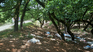 Ηλεία: Περιβαλλοντικό έγκλημα στην Κάπελη!