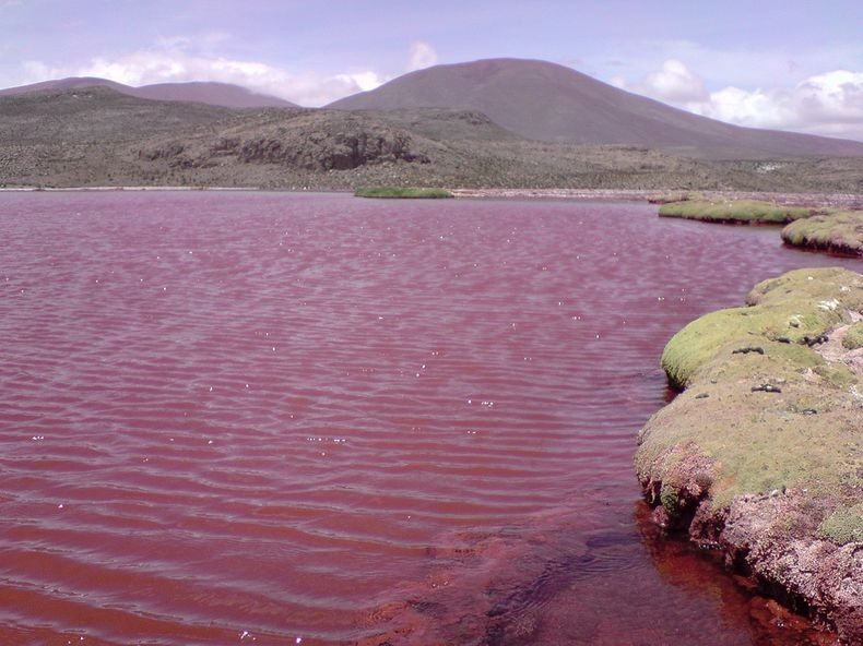 red-lagoon-chile-4