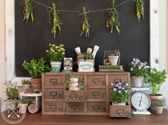 apothecary drawers, potted plants, greenery