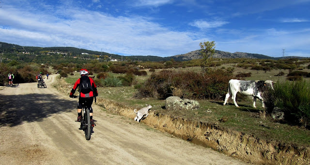 AlfonsoyAmigos - Rutas MTB