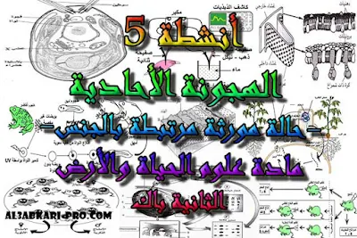 تحميل أنشطة 5: الهجونة الأحادية -حالة مورثة مرتبطة بالجنس- للسنة الثانية باك , درس , ملخص , تمارين , امتحانات وطنية علوم الحياة والارض , علوم الحياة والارض , فروض علوم الحياة والارض , الثانية باك , بكالوريا , دروس اونلاين