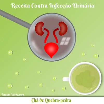 Receita Contra Infecção Urinária: Chá de Quebra-pedra