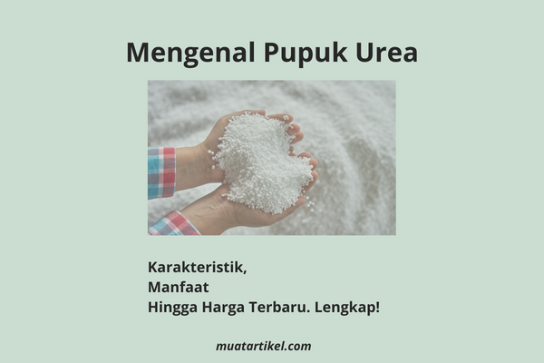 Pupuk Urea