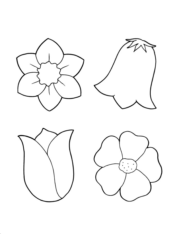 Carnation Coloring Page