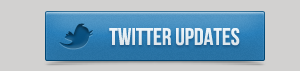 twitter button