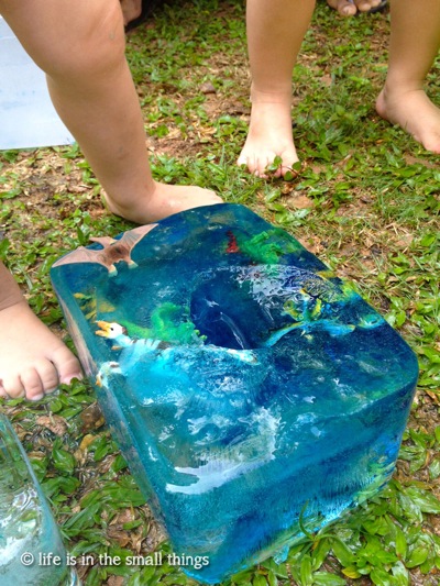 Ice1