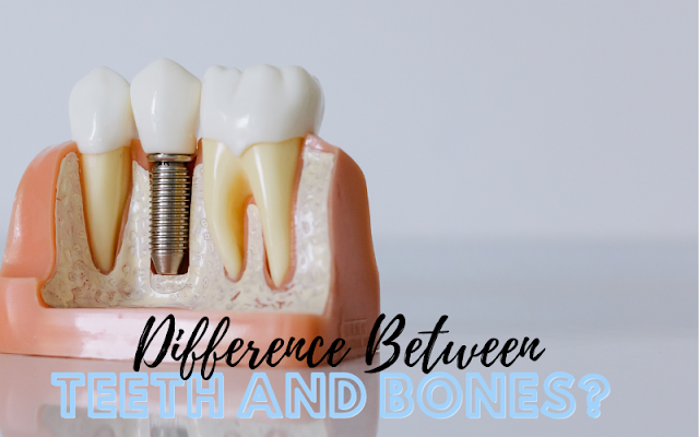 Difference Between Teeth And Bones?