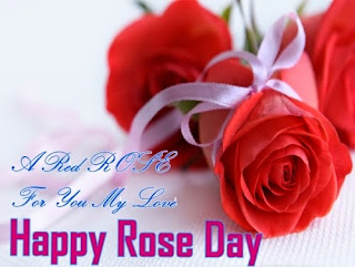 Rose day images, rose day wallpapers, rose day sms, rose day hd wallpapers, rose day 2016, rose day pics