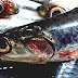 Mercury In Fish - Mercury From Fish