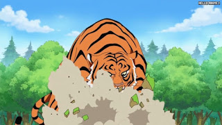 ワンピースアニメ 499話 幼少期 | ONE PIECE Episode 499 ASL