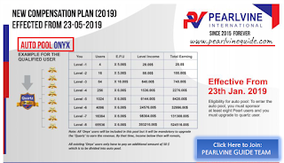 Pearlvine Auto pool Income plan - Coral Auto Pool Income Chart