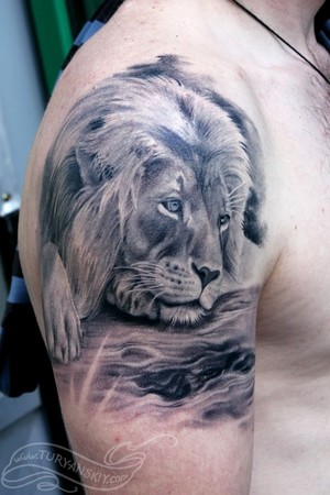 Lion Tattoo Designs on Lion Tattoos Roaring Lion Lion Of Judah   Tattoo Pictures