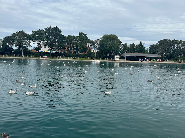 marine park south shields