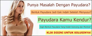 pengencang payudara