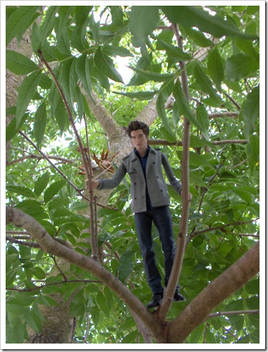 Pocket Edward