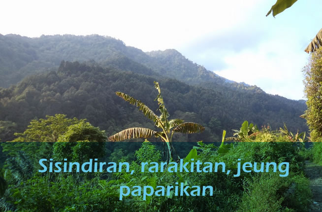 Sisindiran, Rarakitan, jeung Paparikan