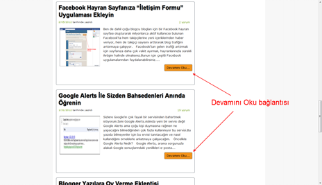 Devamını Oku Bağlantısı