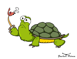 Tortuga caricatura