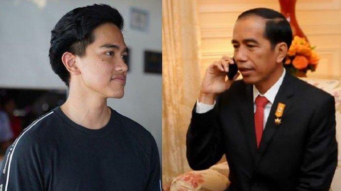 Jokowi Diduga Dapat Bisikan Sebelum Larang Ekspor Minyak Goreng, Kaesang Kah Orangnya?