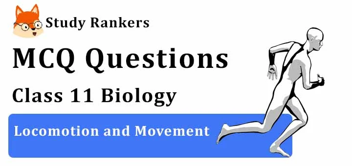 MCQ Questions for Class 11 Biology: Ch 20 Locomotion and Movement