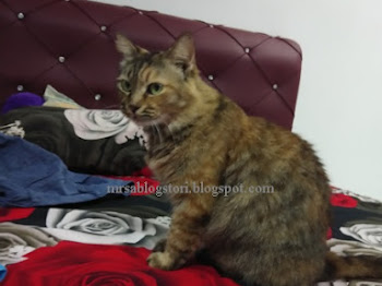 Koko dan Catnip versi Mrs. A