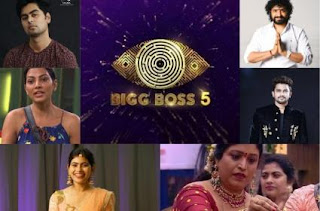 Bigg Boss 5 Telugu 2nd Week Elimination Contestants