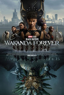 Black Panther Wakanda Forever Movie Download in Hindi English Dubbed filmyzilla 480p 720p 1080p 2022