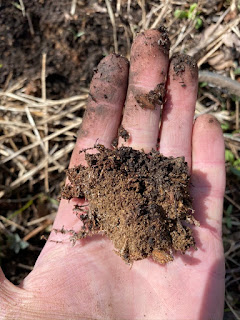 Handful of Soil Full of Mycelium