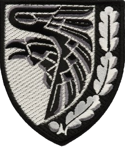 нарукавна емблема 93-ї окремої механізованої бригади Холодний Яр