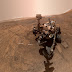 Curiosity faz nova selfie enquanto realiza experimentos químicos no solo de Marte